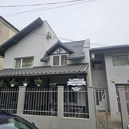 Georgiana Apartments 2 Τιμισοάρα Εξωτερικό φωτογραφία