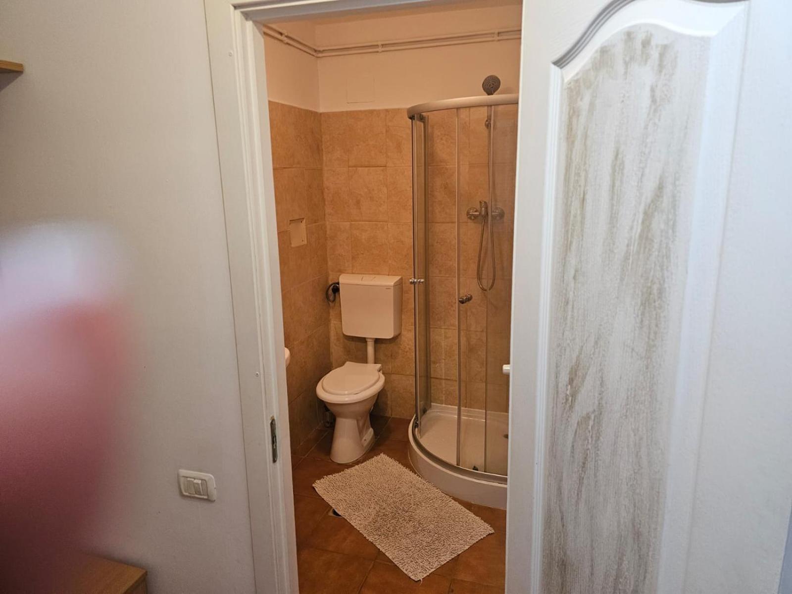 Georgiana Apartments 2 Τιμισοάρα Εξωτερικό φωτογραφία